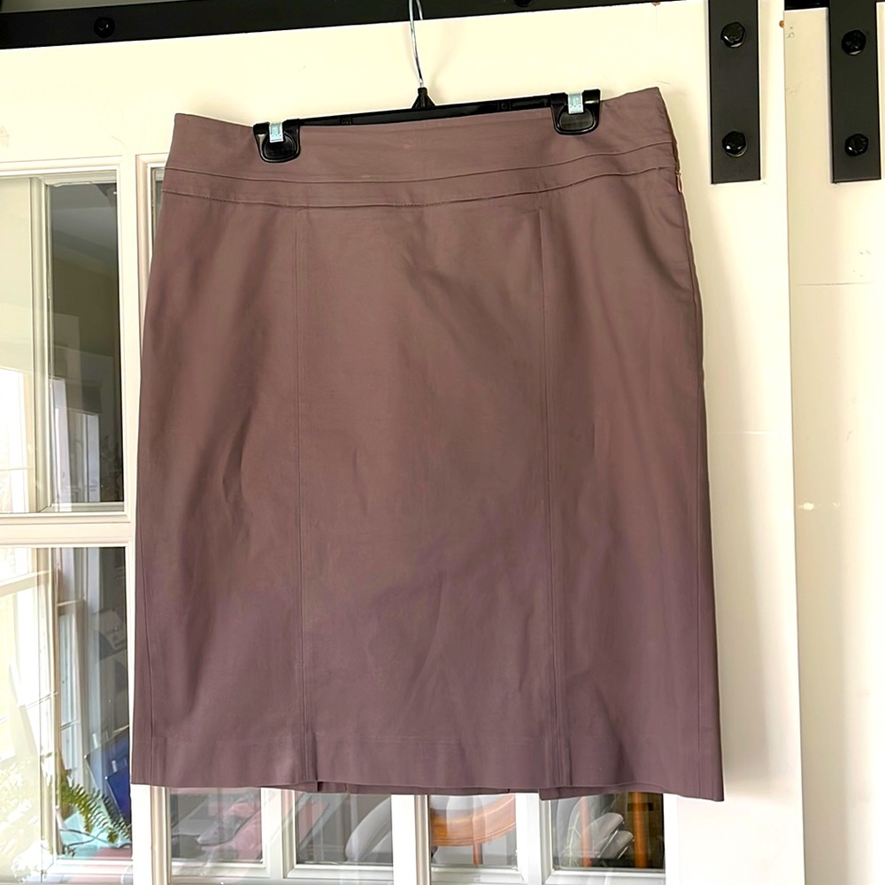 Ann Taylor Loft Skirt. 12